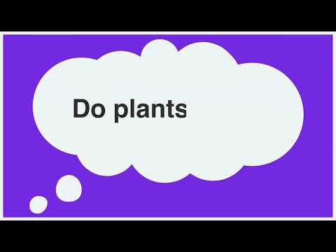 PEAS Life Science Model Activities - Plant Parts (Activity 1 Prep)