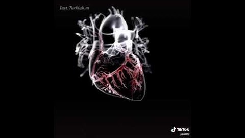 تلاوه خاشعه للشيخ خالد الجليل حالات واتس اب