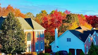 Download Lagu Boston Fall Colors  MP3