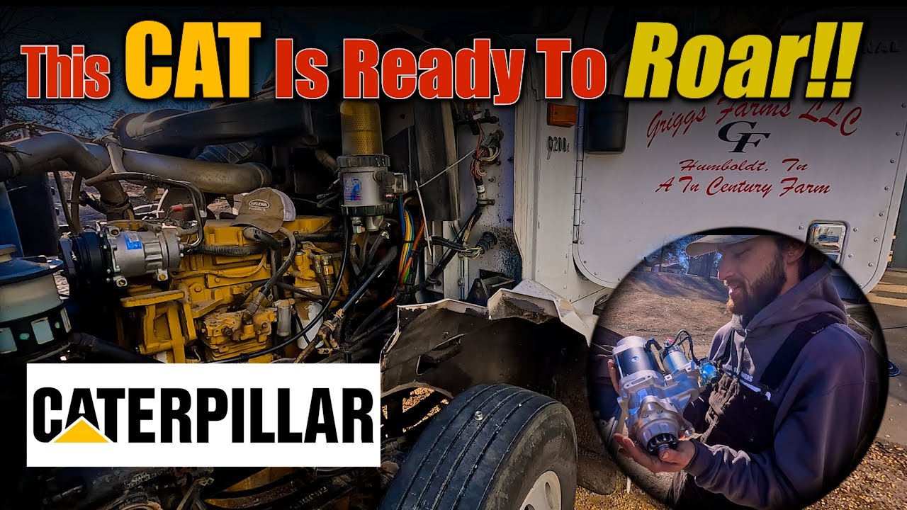 This CAT Is Ready To Roar Again!