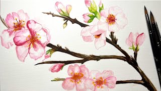 DIY Watercolor CHERRY BRANCH. Cherry blossoms. #diy #painting #watercolor #cherryblossom