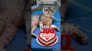 Download Lagu “100 Hari Berjuang, Pesan Cinta di ICU” MP3