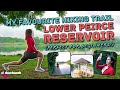 Best Hiking Trail in Singapore - Lower Peirce Reservoir - No Sweat: EP63