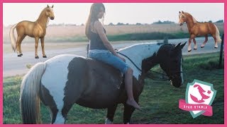 I'll Be There  Lisa Peterson  Star Stable Online Music Video #IllBeThereChallenge