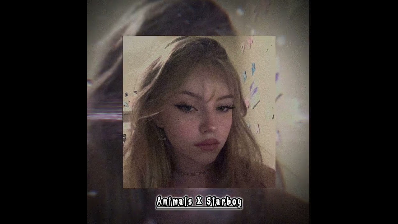 Animals X Starboy ||slowed to perfection ||