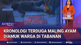 Chronology of Alleged Chicken Thief Mobbed to Death by Residents in Tabanan, Bali