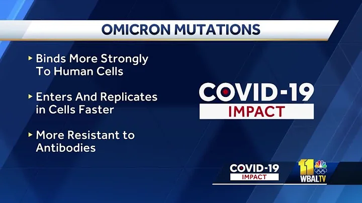 Hopkins virologist breaks down COVID-19 omicron variant