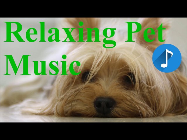 Ultimate Pet Therapy - De-stress Dogs - Relaxing Classical Mix - Monaural Beats Music for Pets class=
