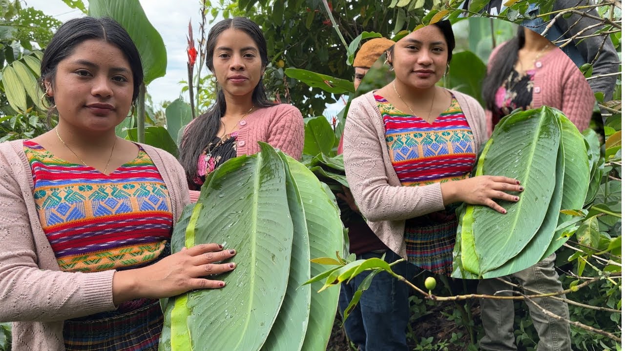 Griseldy Nos REGALA Hojas Para Hacer TAMALES