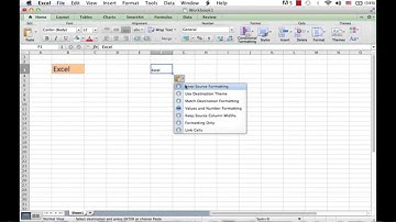 Microsoft Excel Smart Tags: Excel MOOC