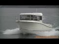 Quicksilver Captur 675 Pilothouse + Mercury F 150 XL EFI