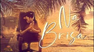 MEGA FUNK - NA BRISA - DJ PEDRO HENRIQUE