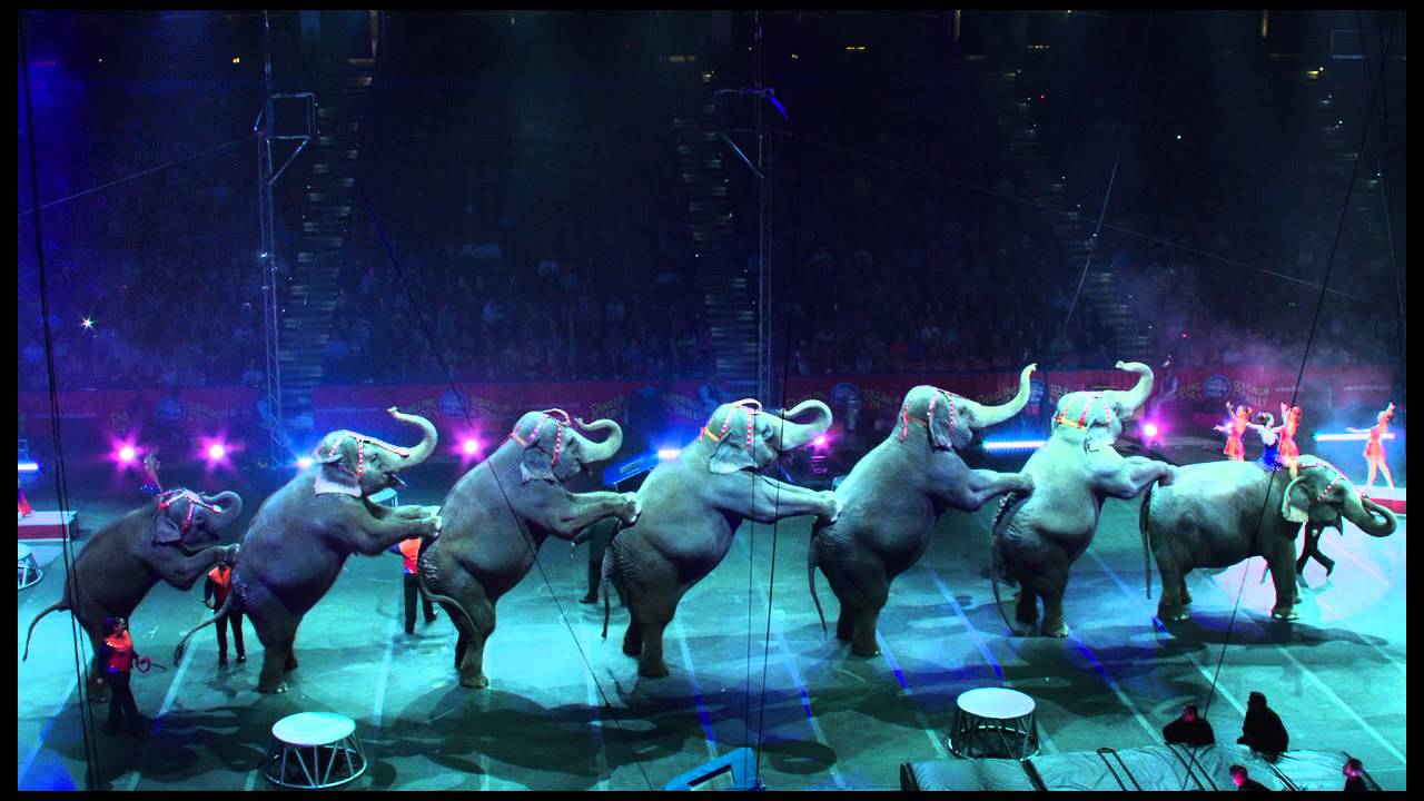 Ringling Brothers "Built to Amaze" Spot YouTube