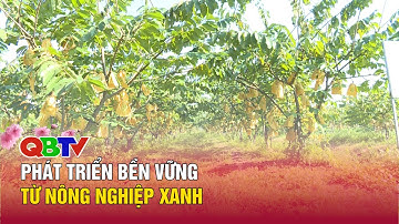 Phát triển bền vững từ nông nghiệp xanh| QBTV
