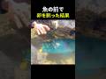 魚の前で卵を割る理由
