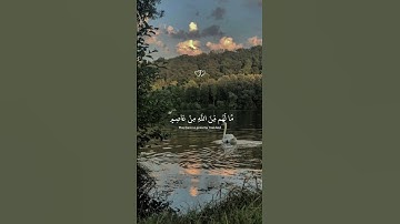 اكتب شي تؤجر عليه🌹//القارئ عبد الرحمن مسعد #طبيعة #اكسبلور #راحة_نفسية #
