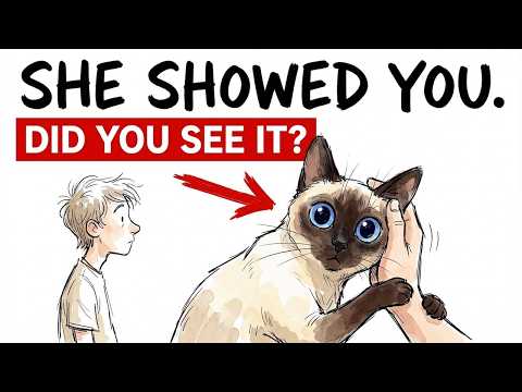 6 Things Cats Only Do With Their FAVORITE PERSON, And What They Really Mean