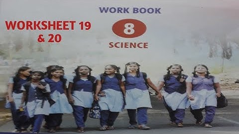 WORKSHEET 19 & 20. SCIENCE.  CLASS 8.