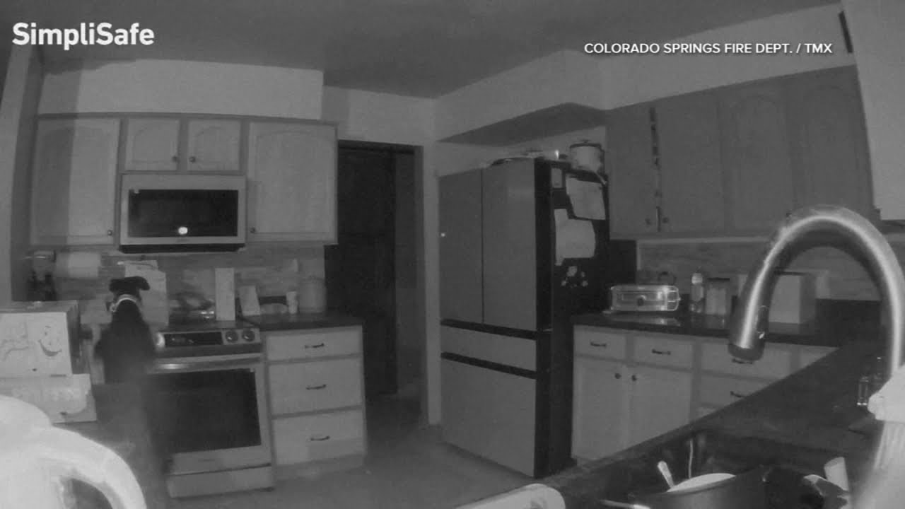 Dog turns on stove and sets house on fire in Colorado: VIDEO