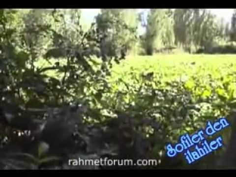 RAHMi BAHADIR - CAY BiNE -sofilerden ilahiler