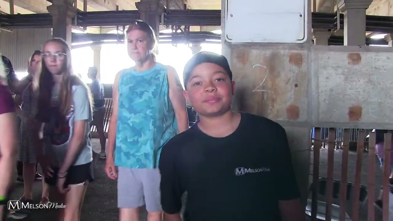 The  Veteran Memorial Bridge