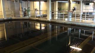 Lemieux Island Water Treatment Plant