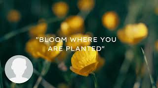 Soft Spoken Motivational Quotes screenshot 4