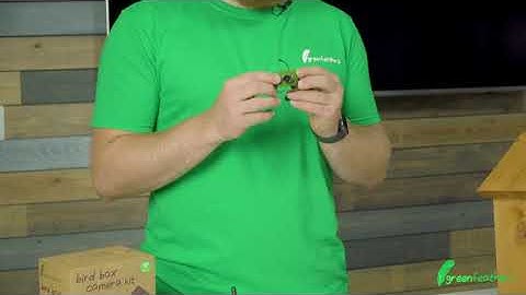 Bird Box Camera with Wireless Transmission | What