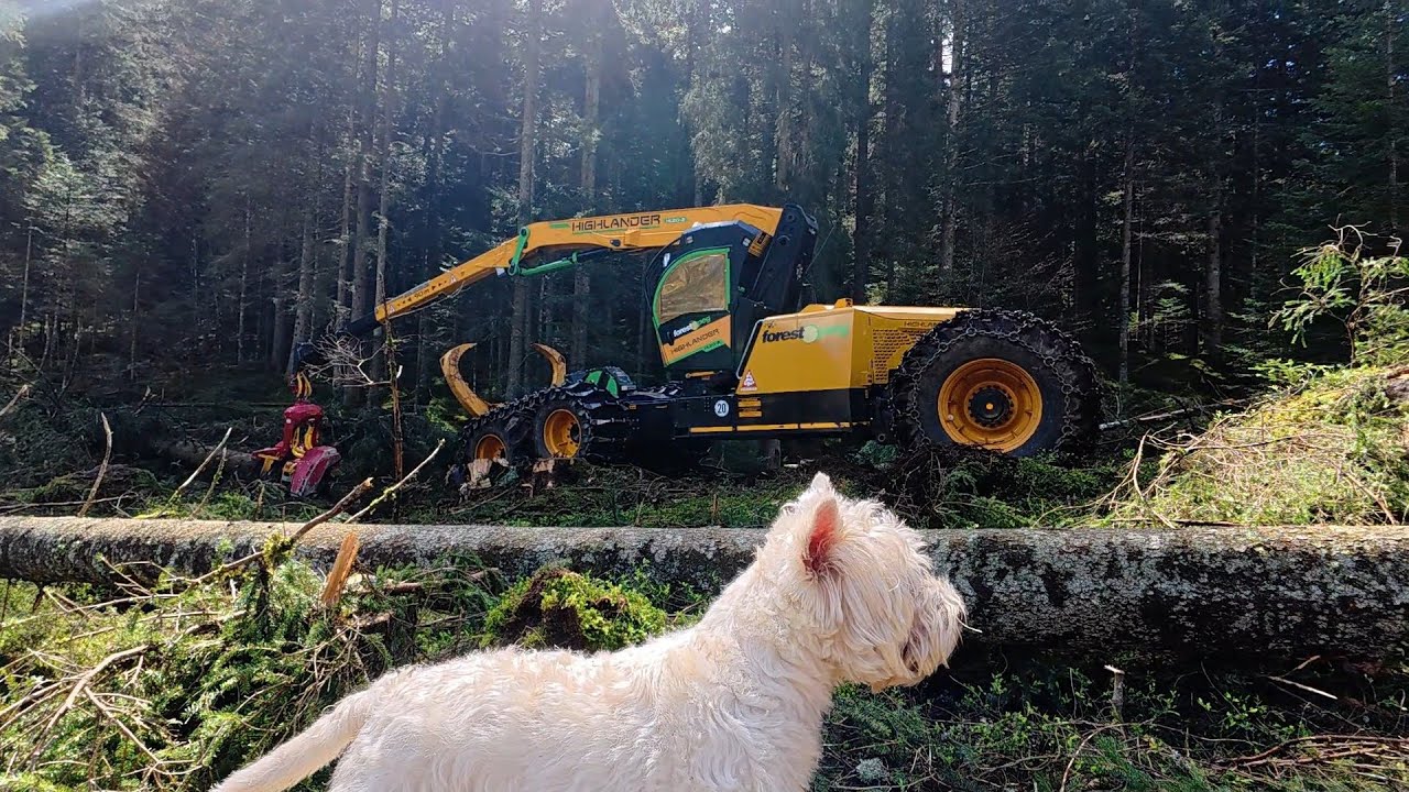 Capo Charly 2.0 🌲 Highlander mit Klemmbank 🌲 - perffeto 