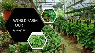 WORLD FARM TOUR l PLANTITA MODE ON l HARDINERA NA TAYO GUYS!!!