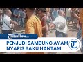 Penjudi sabung ayam nyaris baku hantam di pasar alok