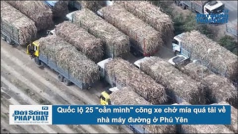 Quốc lộ 25 "oằn mình" cõng xe chở mía quá tải về nhà máy đường ở Phú Yên