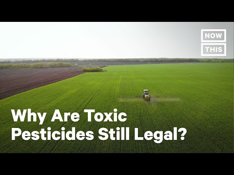 Toxic Pesticide Chlorpyrifos Endangers Essential Farm Workers | NowThis