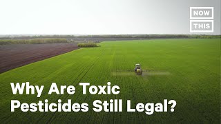 Toxic Pesticide Chlorpyrifos Endangers Essential Farm Workers | NowThis