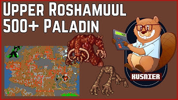Upper Roshamuul (Beginners) | 500+ Paladin | Tibia