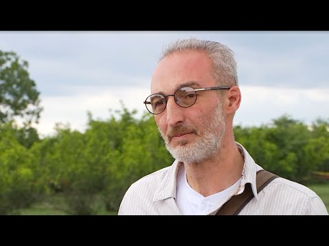 ყველაფრის თავიდათავი სადაც იქნება დამარხული, იქიდან ამოვთხრი ყველას - რამიშვილი