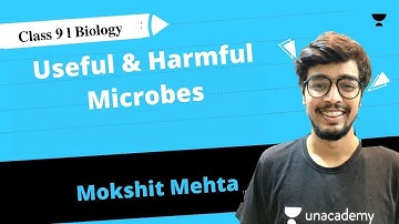 Useful & Harmful Microbes | SSC Class 9 | Biology | SSC | Mokshit Mehta