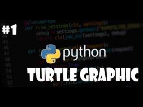 Python Turtle Graphic || python programming || #kumar gaurav