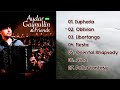 Aydar Gaynullin - Aydar Gaynullin &amp; Friends I Игра на баяне I Accordion music