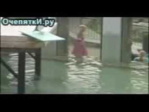 пингвин прыгает - YouTube