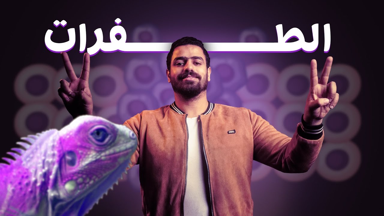 شرح الطفرات - البيولوجيا الجزئية DNA 🧬 أحياء 🧪 3 ثانوى 2025 | محمد العراقي 