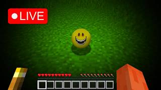 MINECRAFT VERITY MOD!!