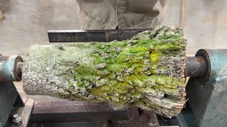 Woodturning - Processing Thousand Year Old Tree Stumps - Cedar Roots