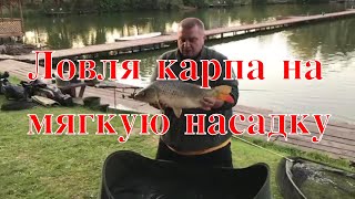 Ловля карпа на мягкую насадку. Тестирование оснасток. Озеро Михайлина.