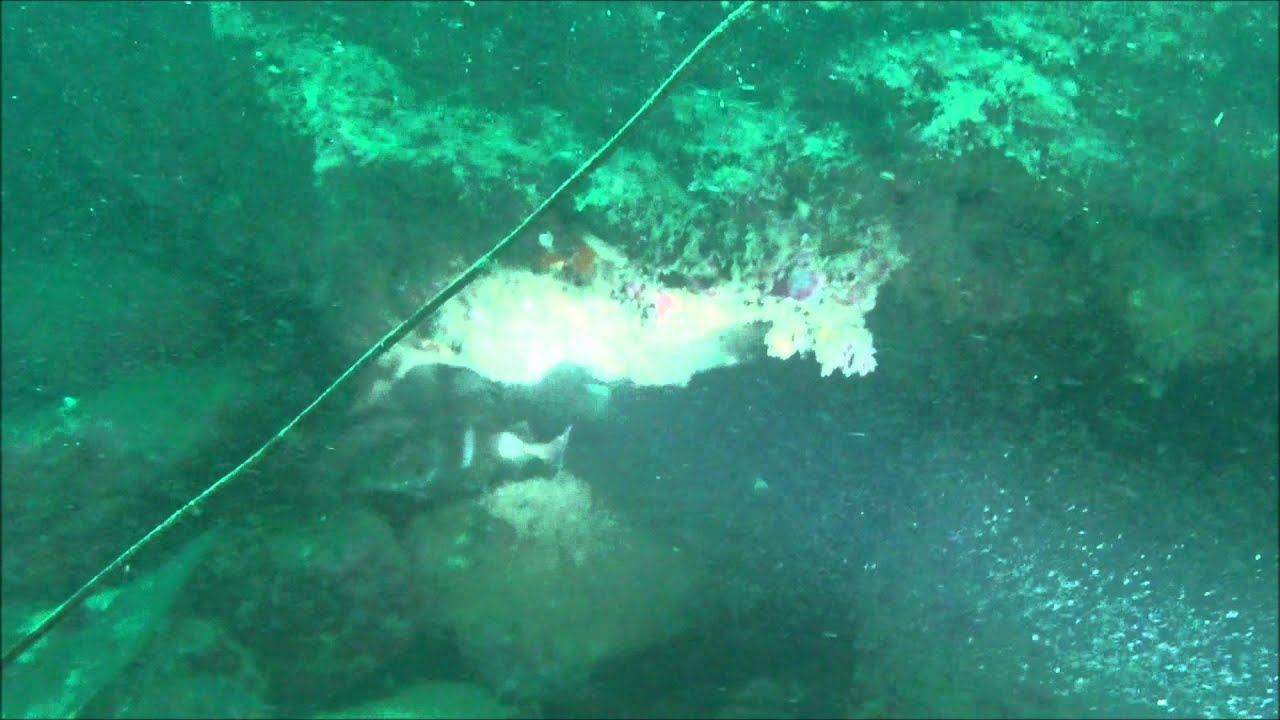 Porth Diana   Anglesey   14 9 13