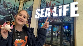 Sea Life Manchester Vlog January 2025