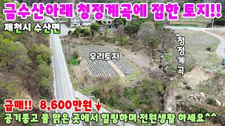 514. 가격 대폭할인 급매물토지 금수산아래 청정계곡과 접한 양지바른 남향의 토지 제천토지매매 제천부동산 제…