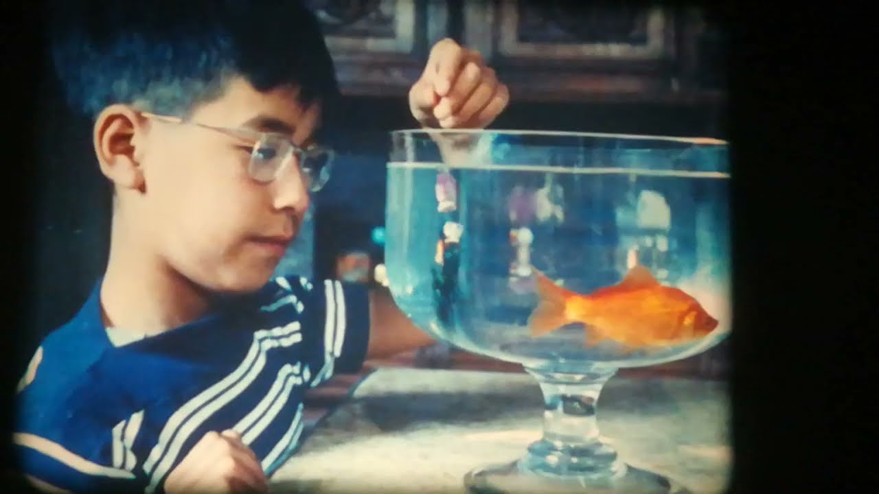 Histoire d'un poisson rouge - Court-métrage