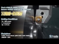 Video Image
