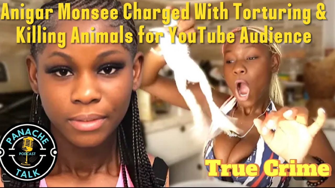 Anigar Monsee Charged With Torturing & Killing Animals For Youtube ...